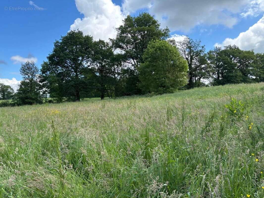Opportunité de réhabilitation d'une grange : créez la maison de vos rêves ! - photo 2