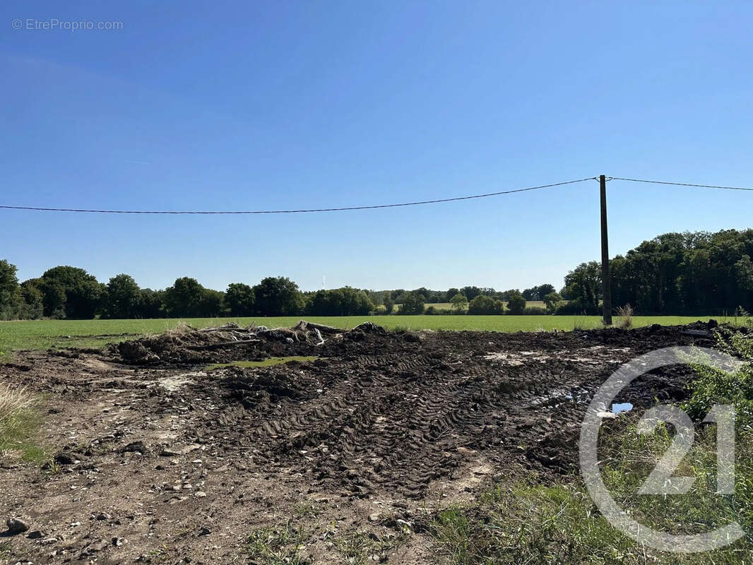 Maison à SURY-ES-BOIS