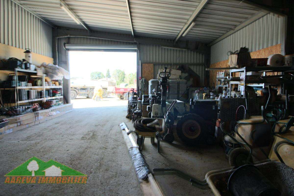 Commerce à MONTREJEAU