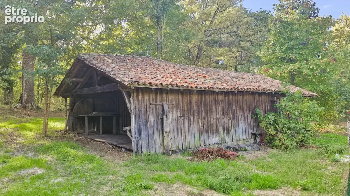 Authentique airial landais a proximite du bourg de linxe - photo 5
