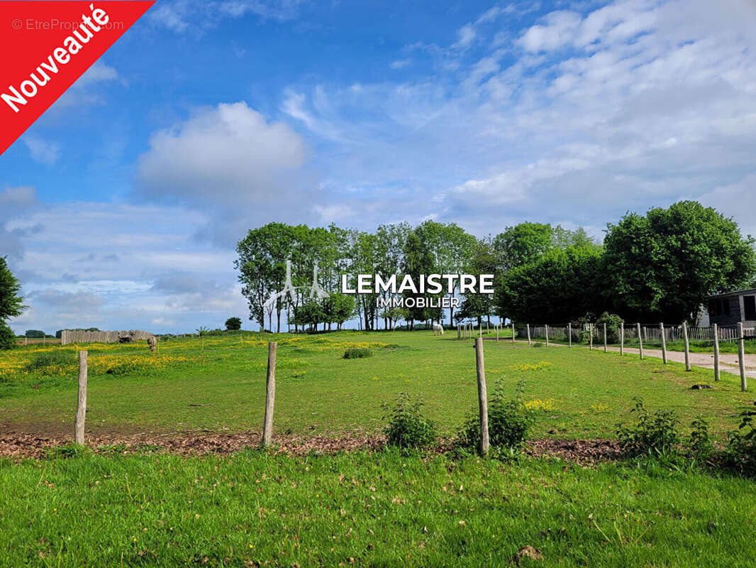 Ensemble atypique en pleine nature - proche fauville - mobils-homes - terrain - photo 2