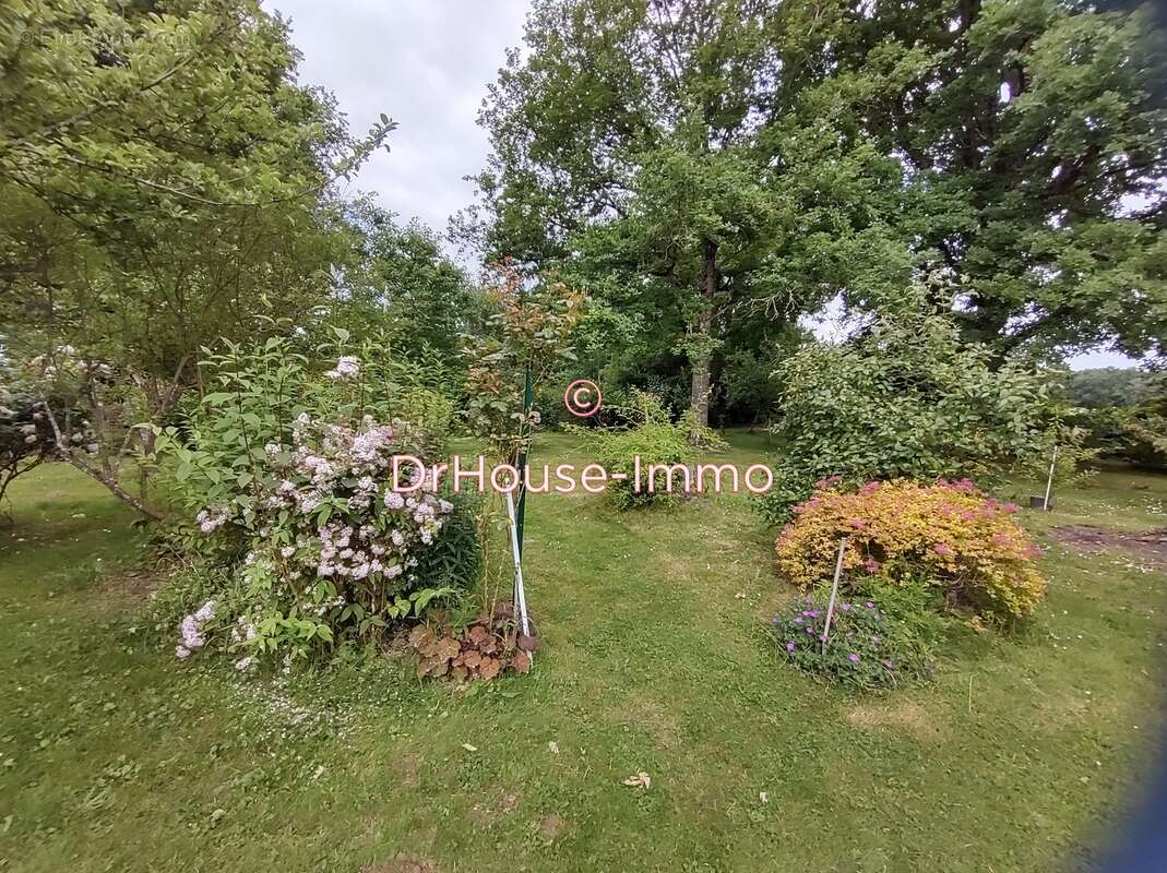 Maison à PELLEVOISIN