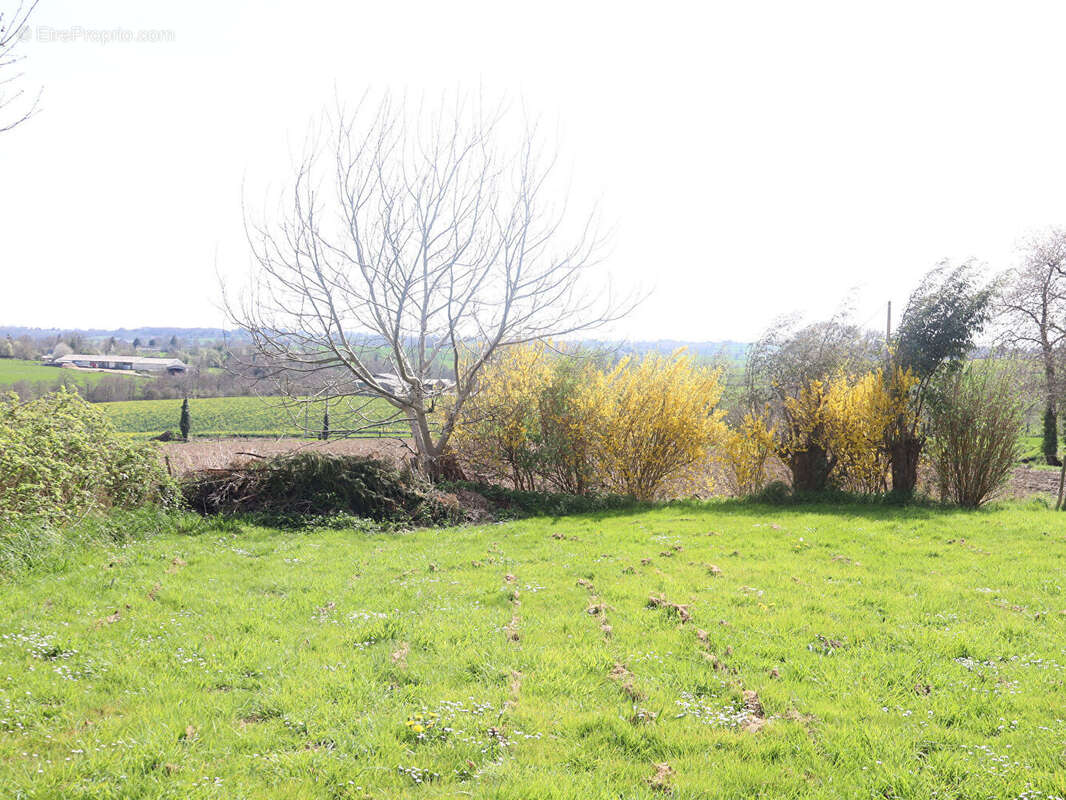 Mortain bocage - photo 15