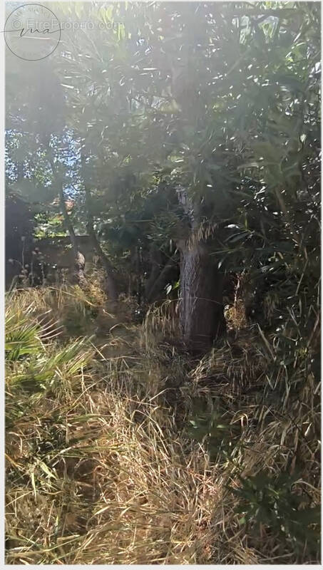 Maison Pézenas 80M2 sur un terrain de 200M2 à rénover - photo 2