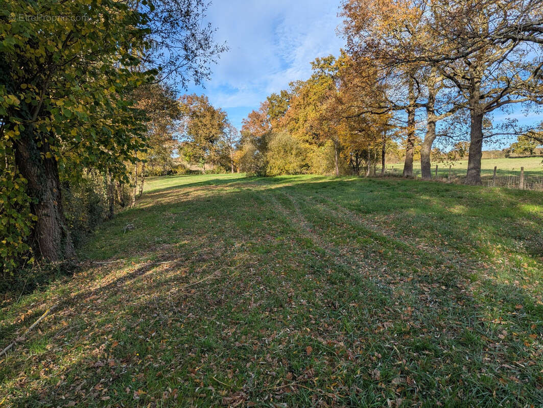Terrain à LE CHATELET