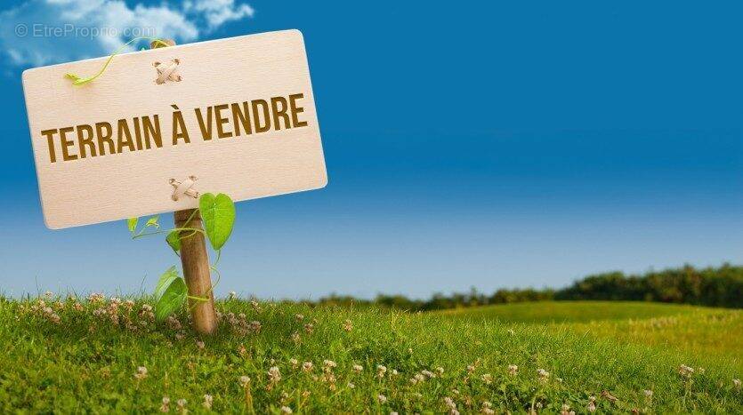 Terrain à LE MESNIL-GUILLAUME