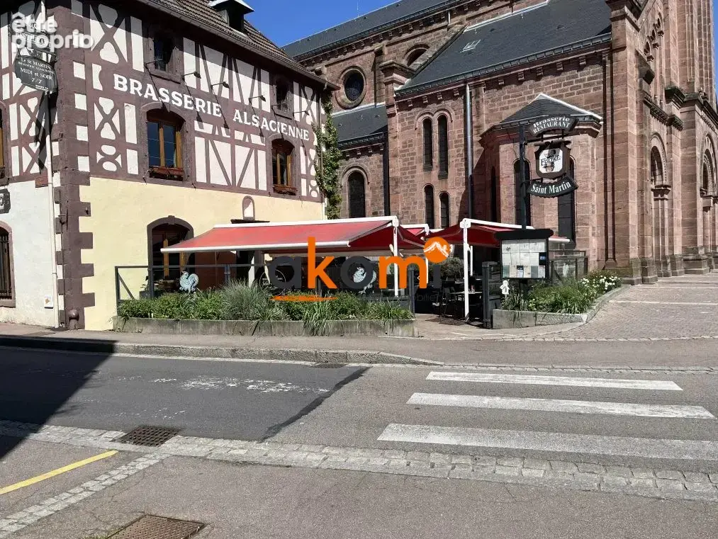500 m² à Saint-Die-Des-Vosges  - photo 2