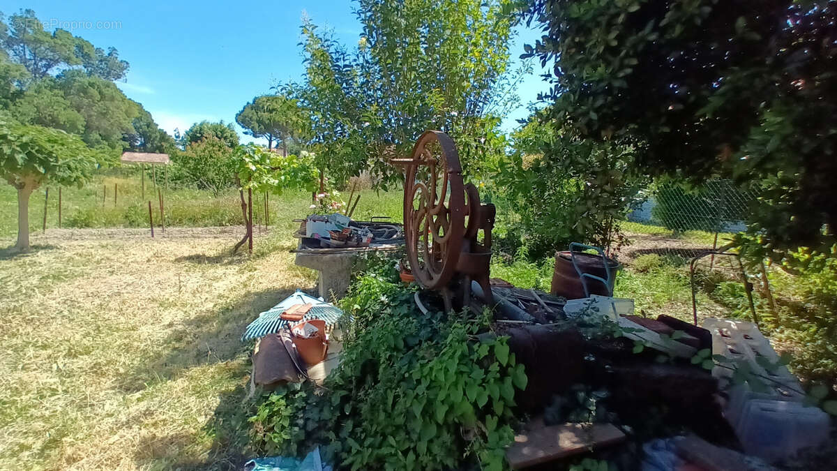 Terrain à MAGALAS