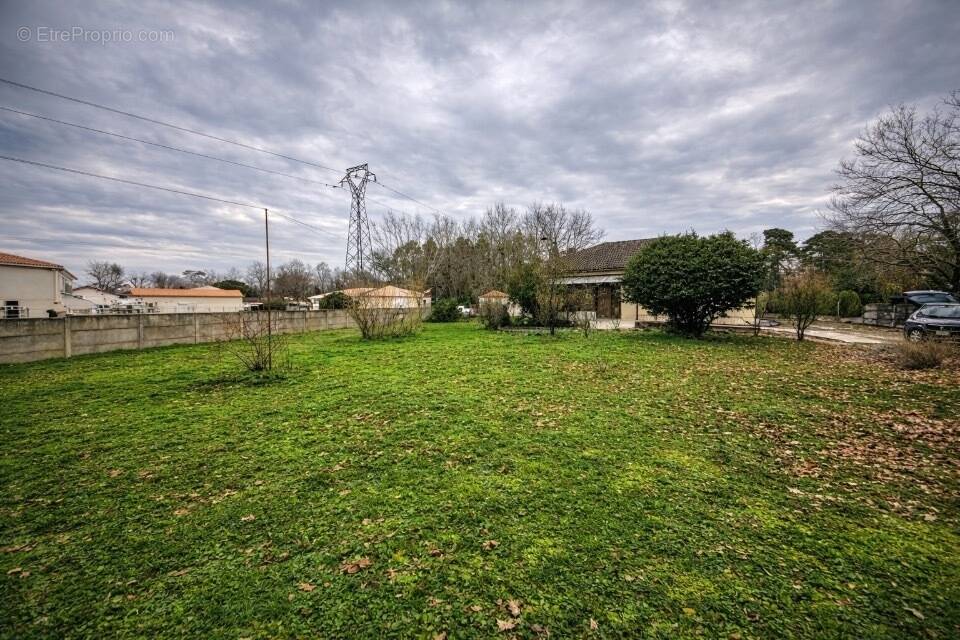 Terrain à SAINT-SAUVEUR