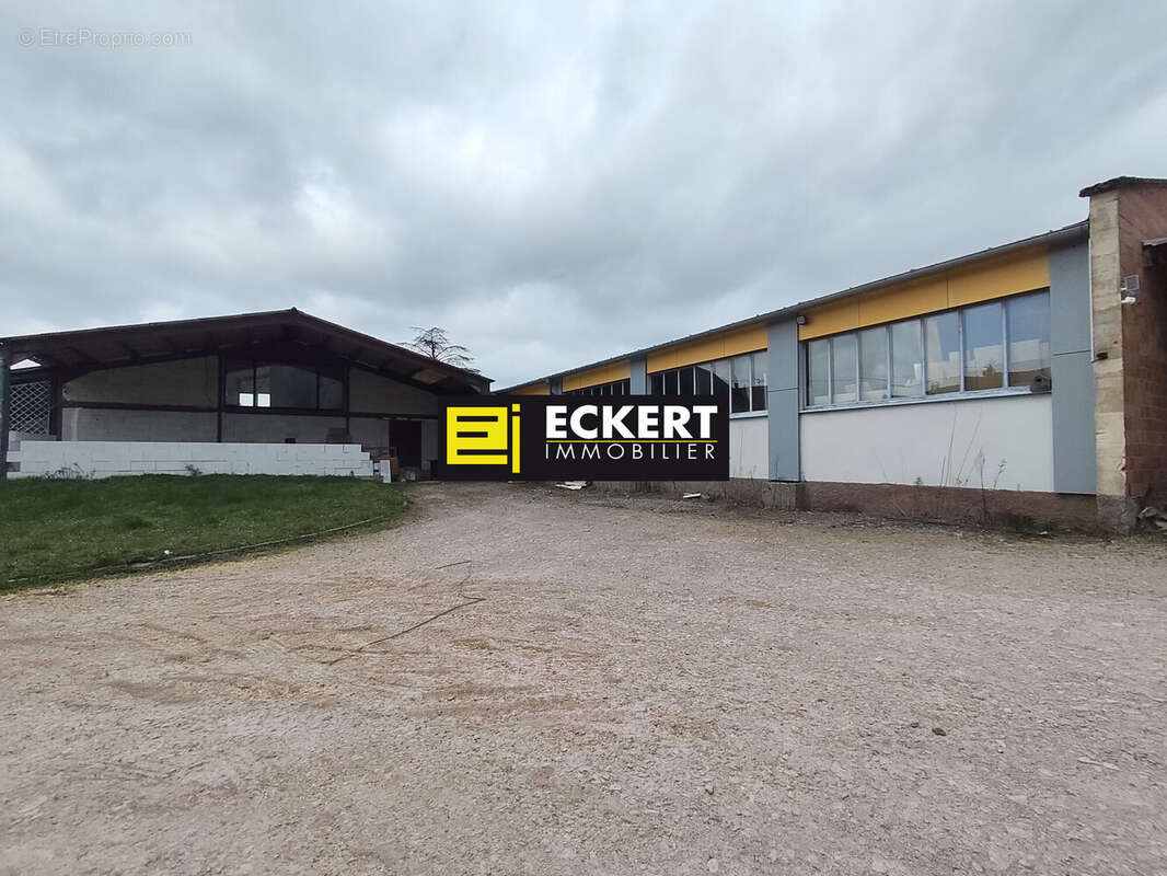 Appartement à ODRATZHEIM