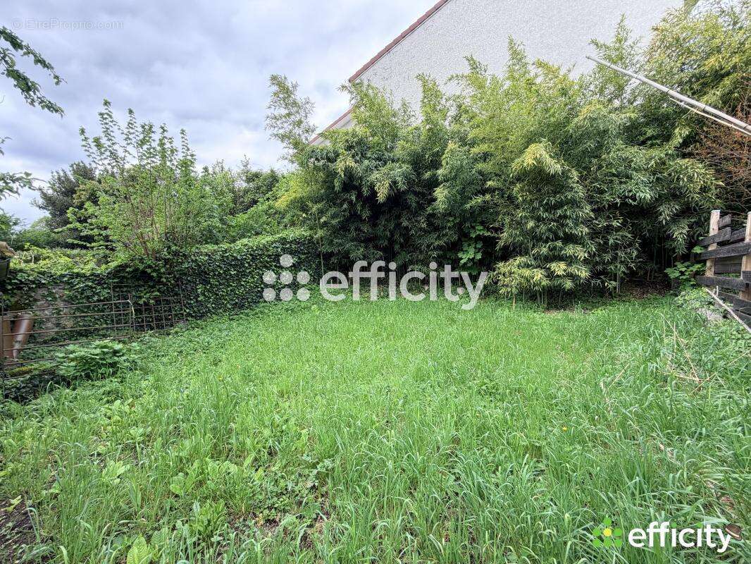Duplex/Triplex - photo 12