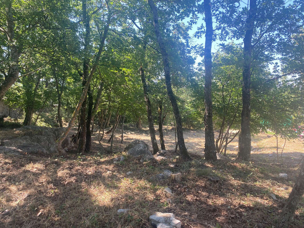 Terrain à SAINT-VALLIER-DE-THIEY