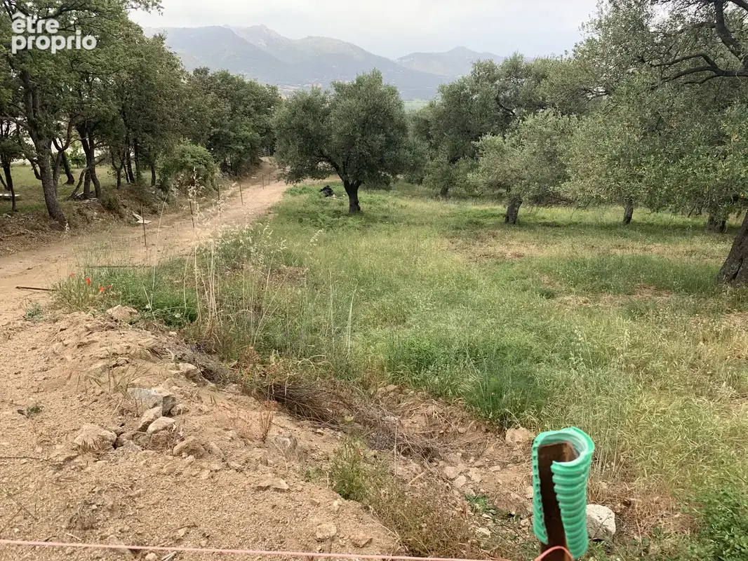 Terrain à batir . - photo 11