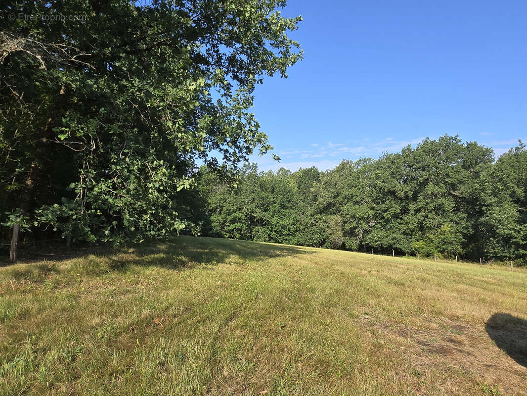 Ensemble de 3 habitations sur un parc de 2ha76 avec étang! - photo 50