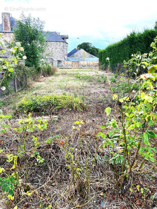 Maison à LA GUERCHE-DE-BRETAGNE