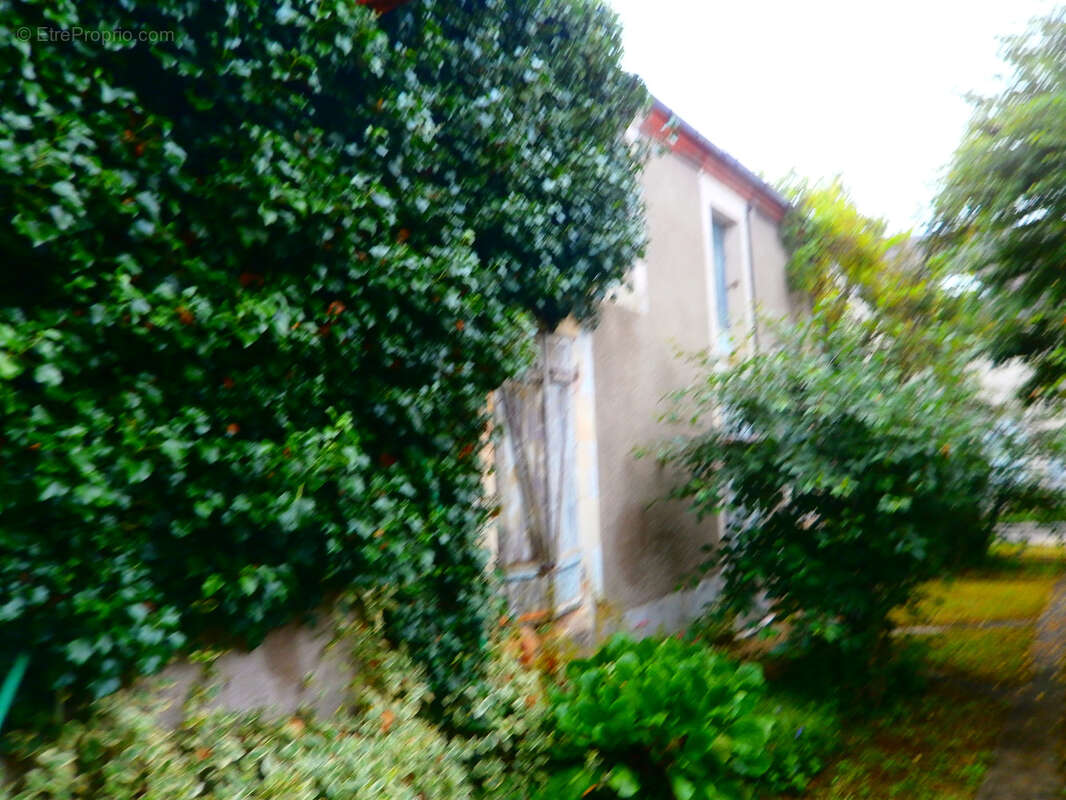 Commerce à LES BORDES