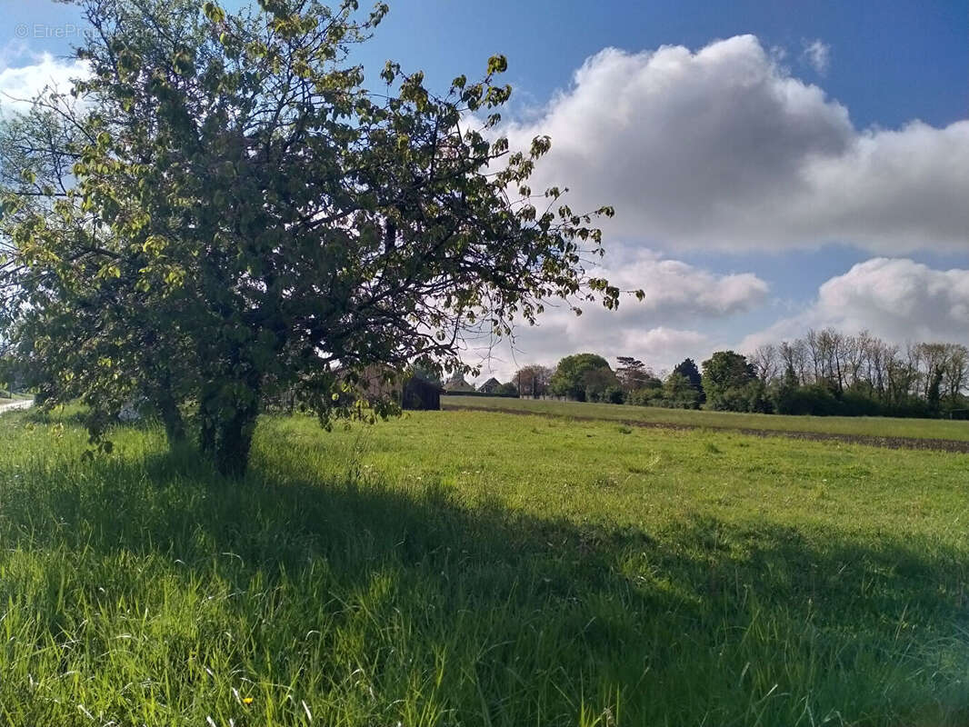 Terrain à SAINT-MAURICE-EN-RIVIERE