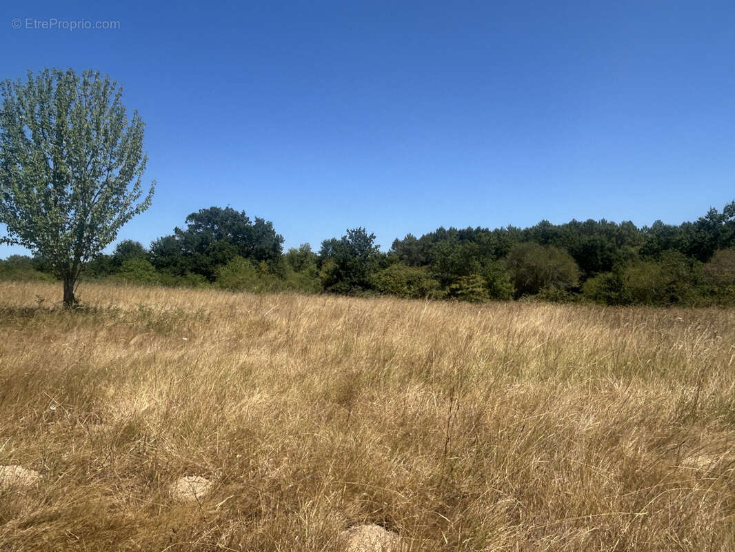 Maison Perigordine avec grange attenant sur 2.9 ha - photo 3