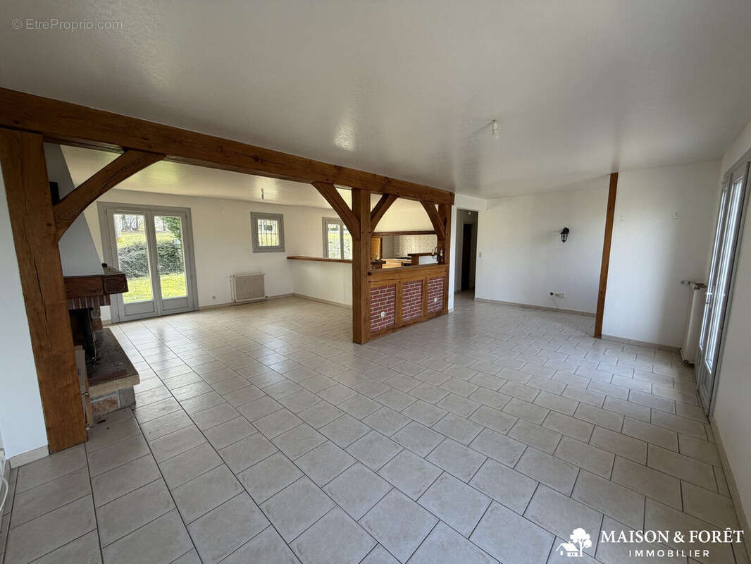 Maison à OUZOUER-SUR-TREZEE