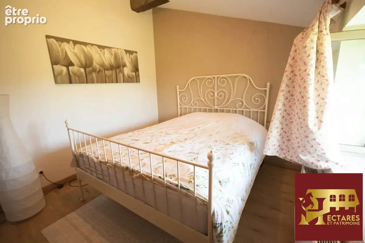 Propriété équestre et locatif 4 hectares - photo 16