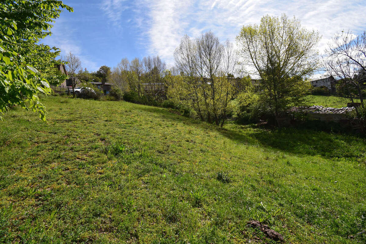Terrain constructible à Osséja - photo 3