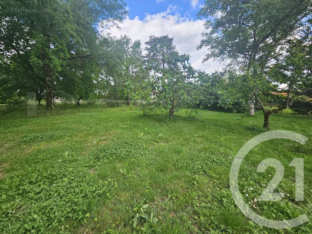 Terrain à SAINT-ETIENNE-DE-TULMONT