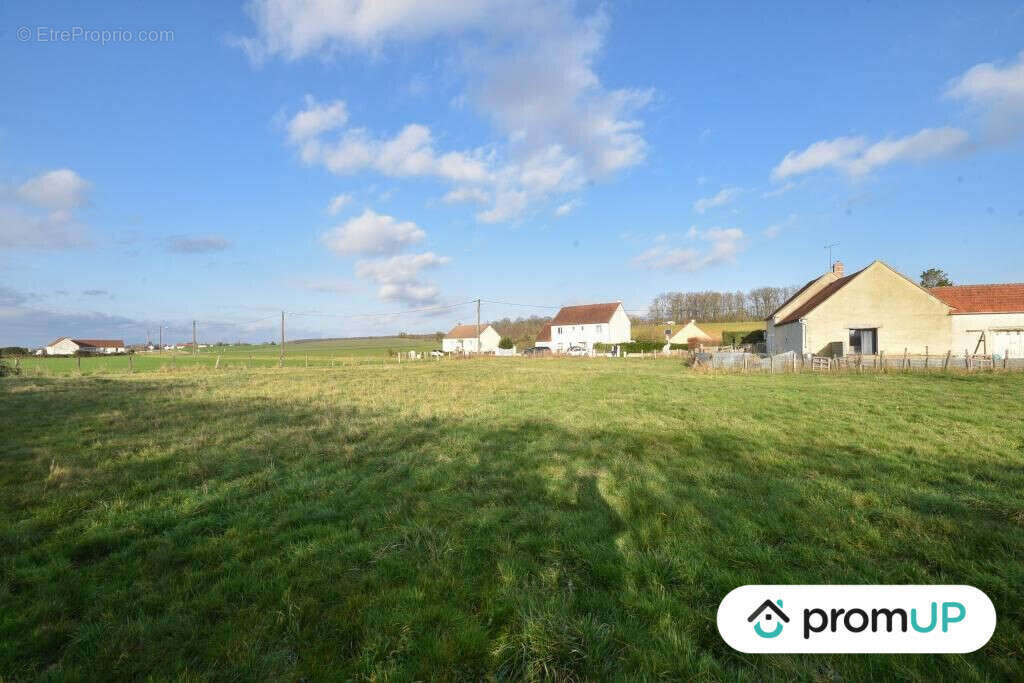 Terrain à CHEMILLY-SUR-YONNE