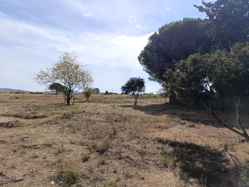 Terrain à POUSSAN