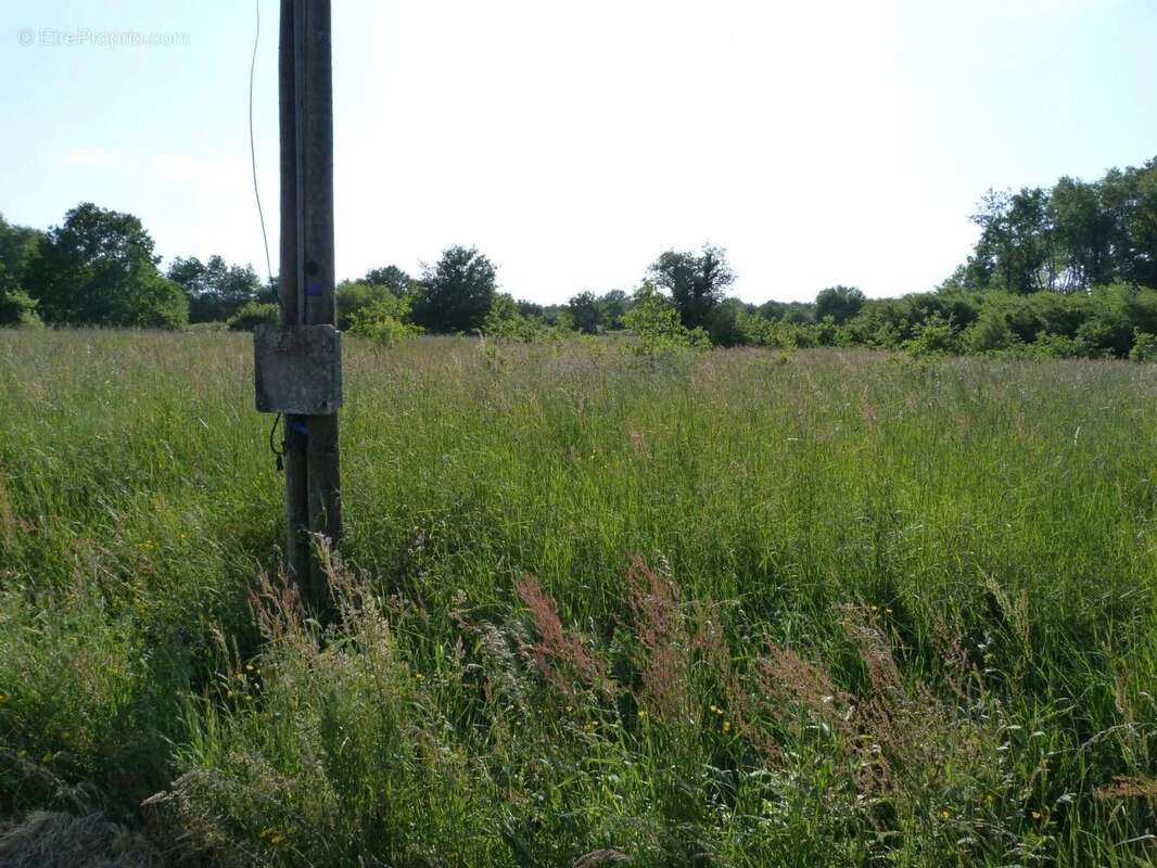 Vente Terrain Vignoux-sur-barangeon(18500) 59 900ï¿œ - photo 3