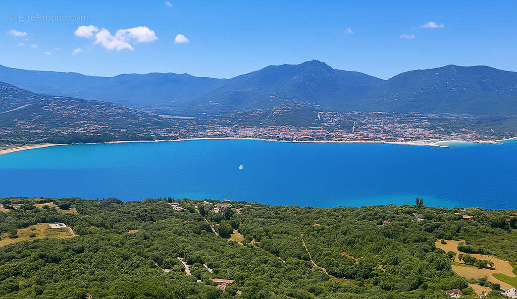Propriété Exceptionnelle en Corse au bord du Golfe du Valinco - photo 2