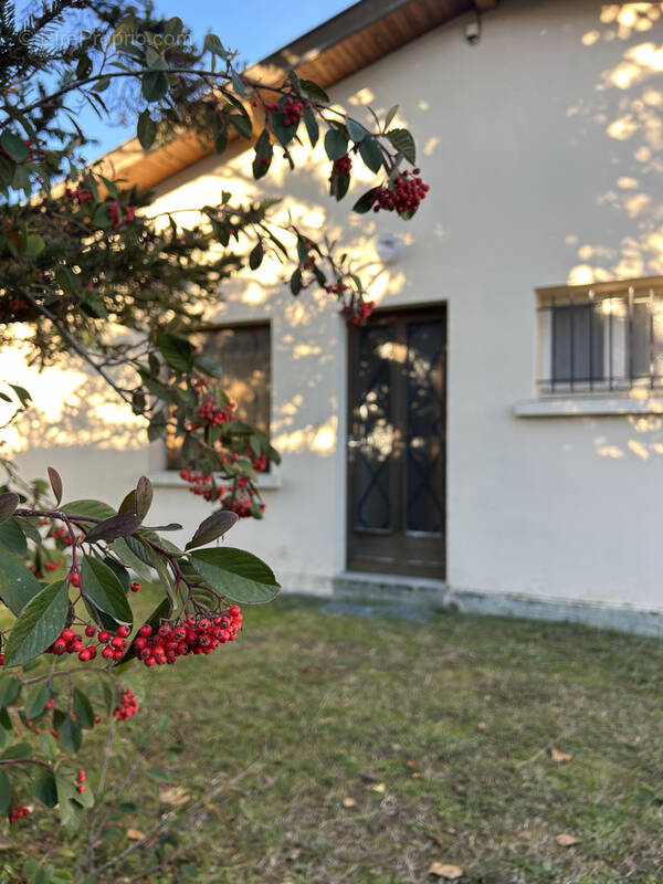 Maison à VILLENEUVE-DE-MARSAN