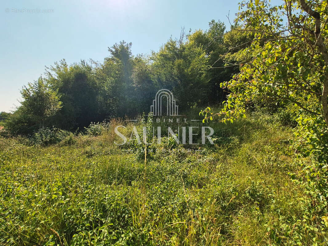 Exclusivité   Maison de caractère proche de Montrichard ! - photo 16