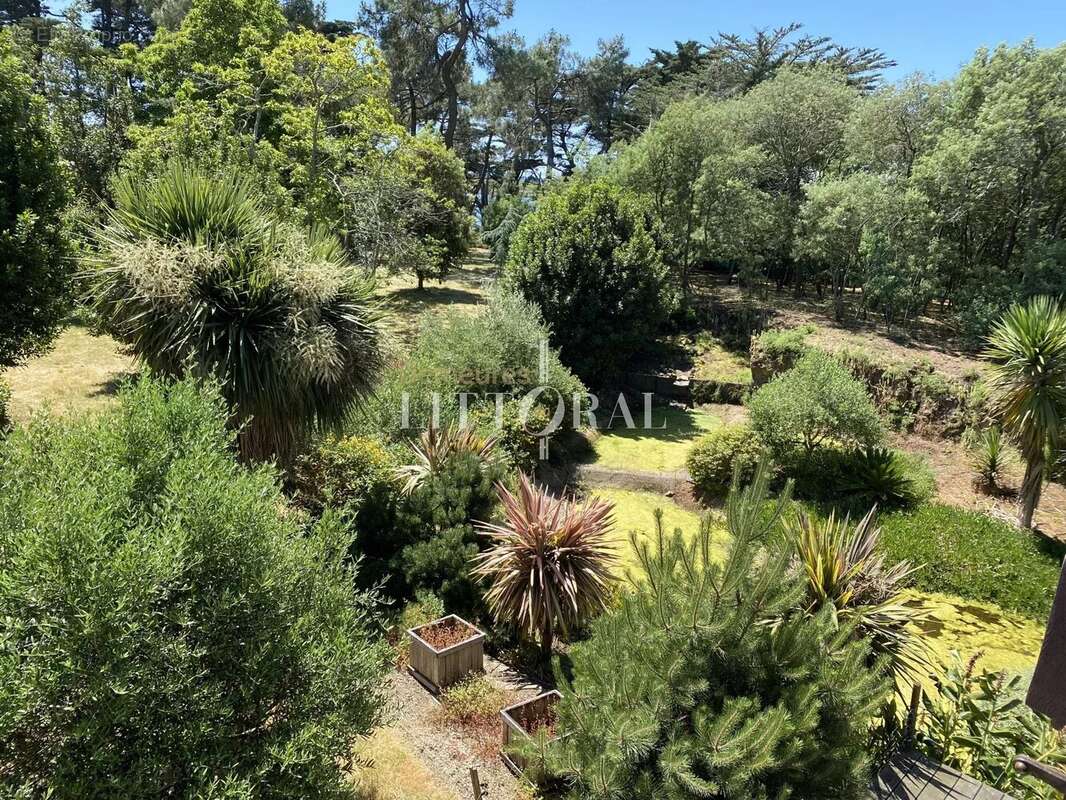 L’île d’Arz – Propriété unique en bord de mer - photo 14