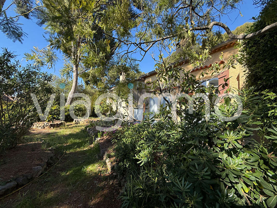 Maison Sanary Sur Mer 5 pièce(s) 190 m2 - photo 9
