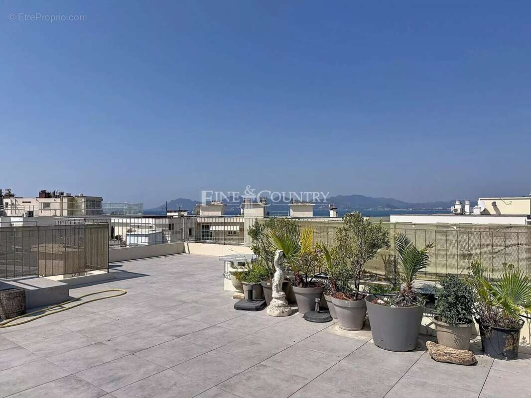 Vente Penthouse Palm Beach, Cannes - photo 2