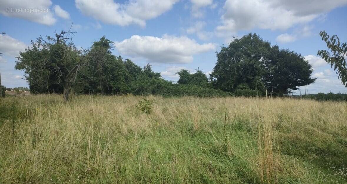 Terrain à VALLENTIGNY