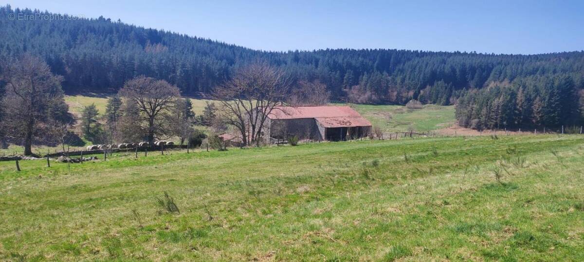 Terrain à RIOTORD