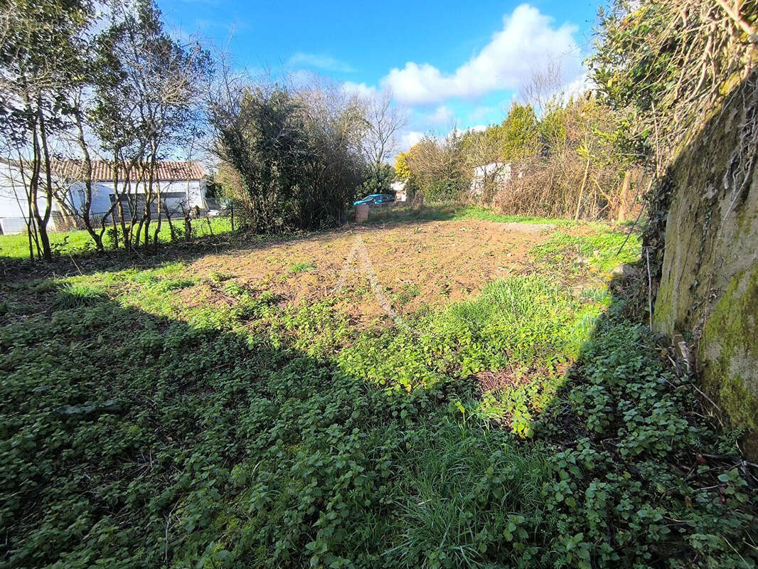 Terrain à AVRILLE