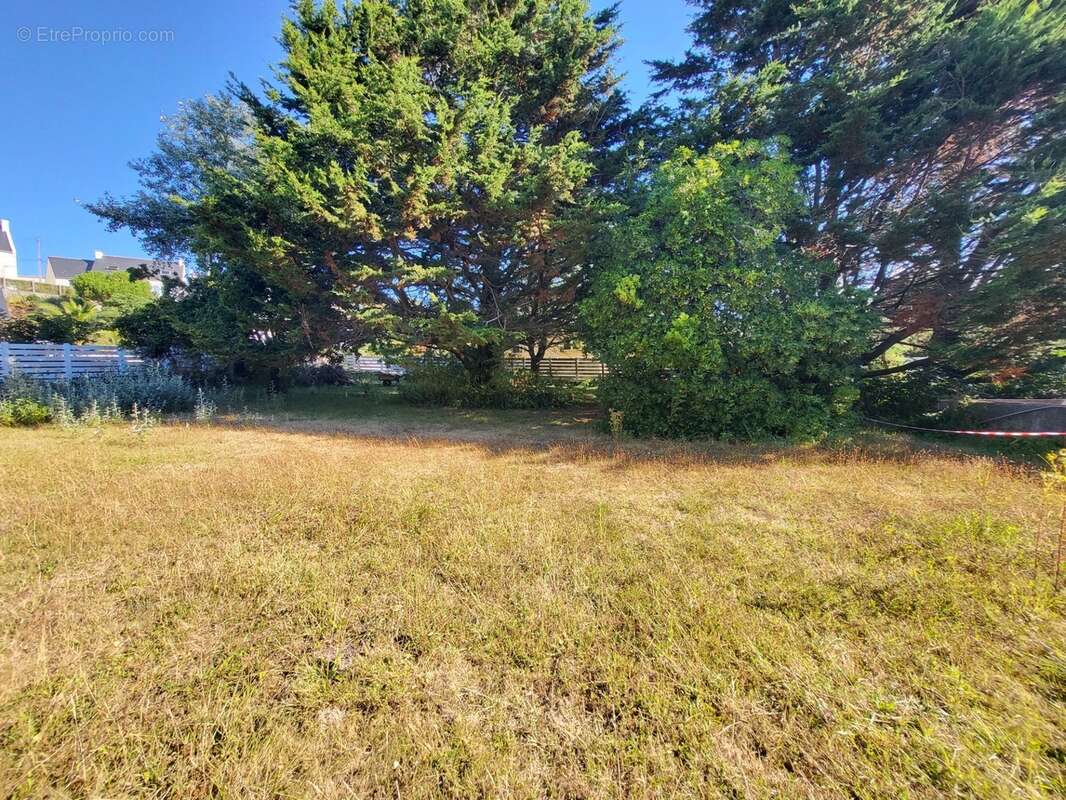Terrain constructible à vendre  CAMARET SUR MER (29) - photo 2