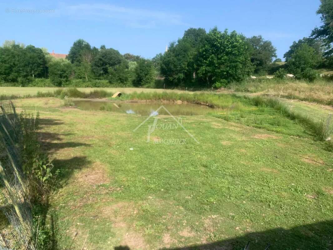 Maison de campagne sur 1 hectare - photo 30