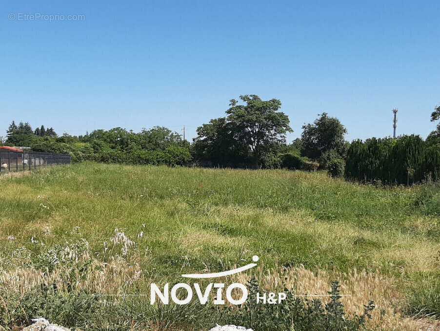 Terrain à MIREBEAU