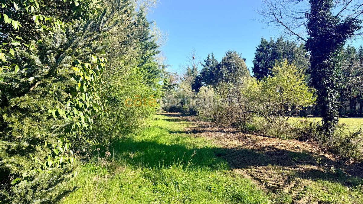 Terrain à MONTBETON
