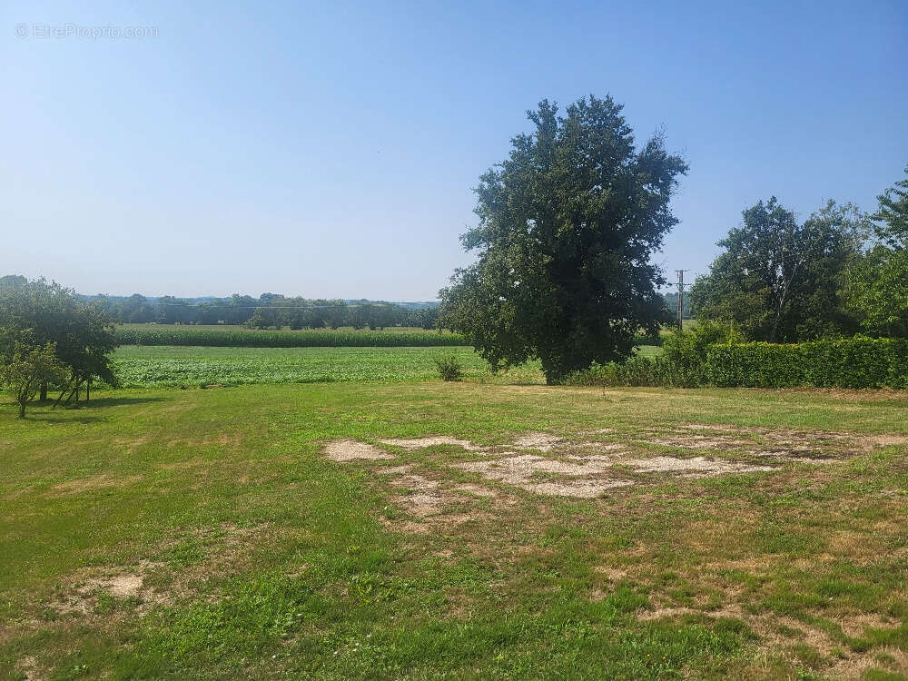 Terrain à CHATILLON-SUR-CHALARONNE