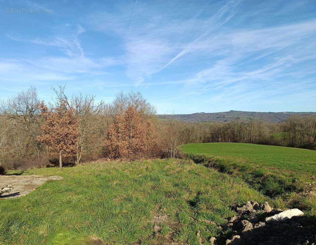 Terrain à MIRANDOL-BOURGNOUNAC