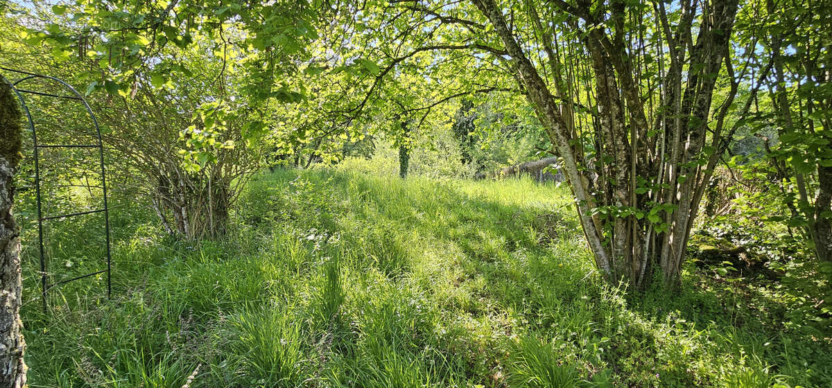 Maison à COURCELLES