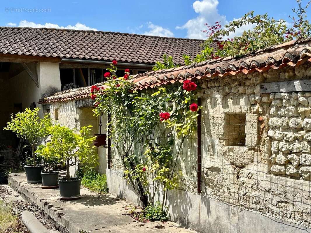Maison à AUBETERRE-SUR-DRONNE