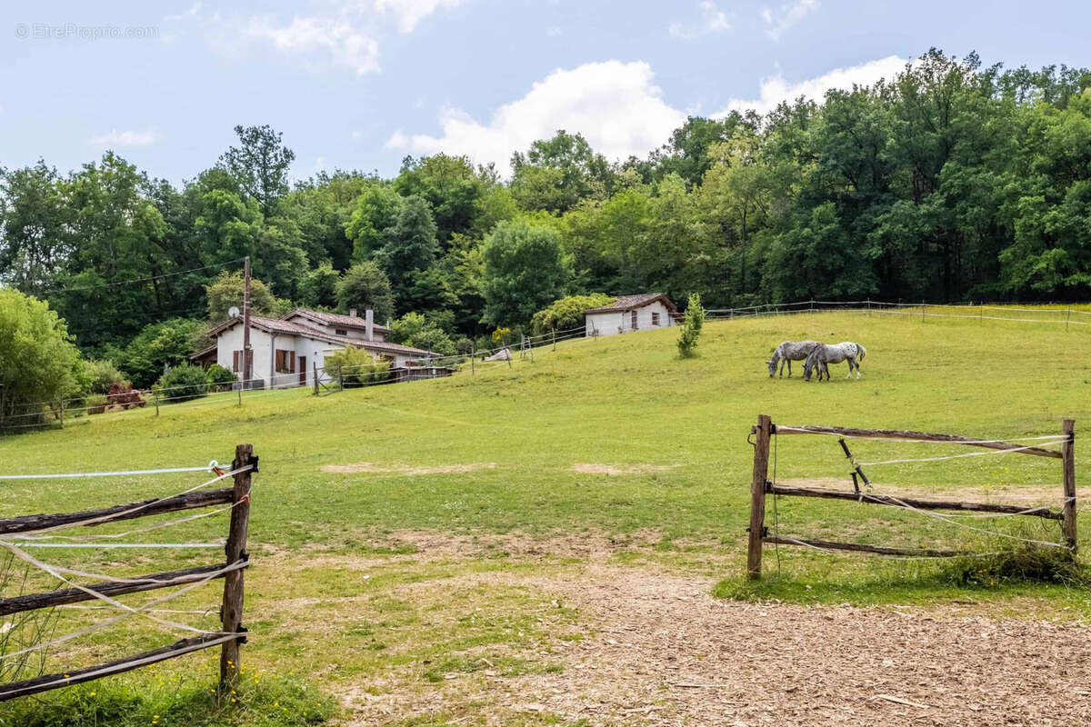 Propriete equestre - photo 3