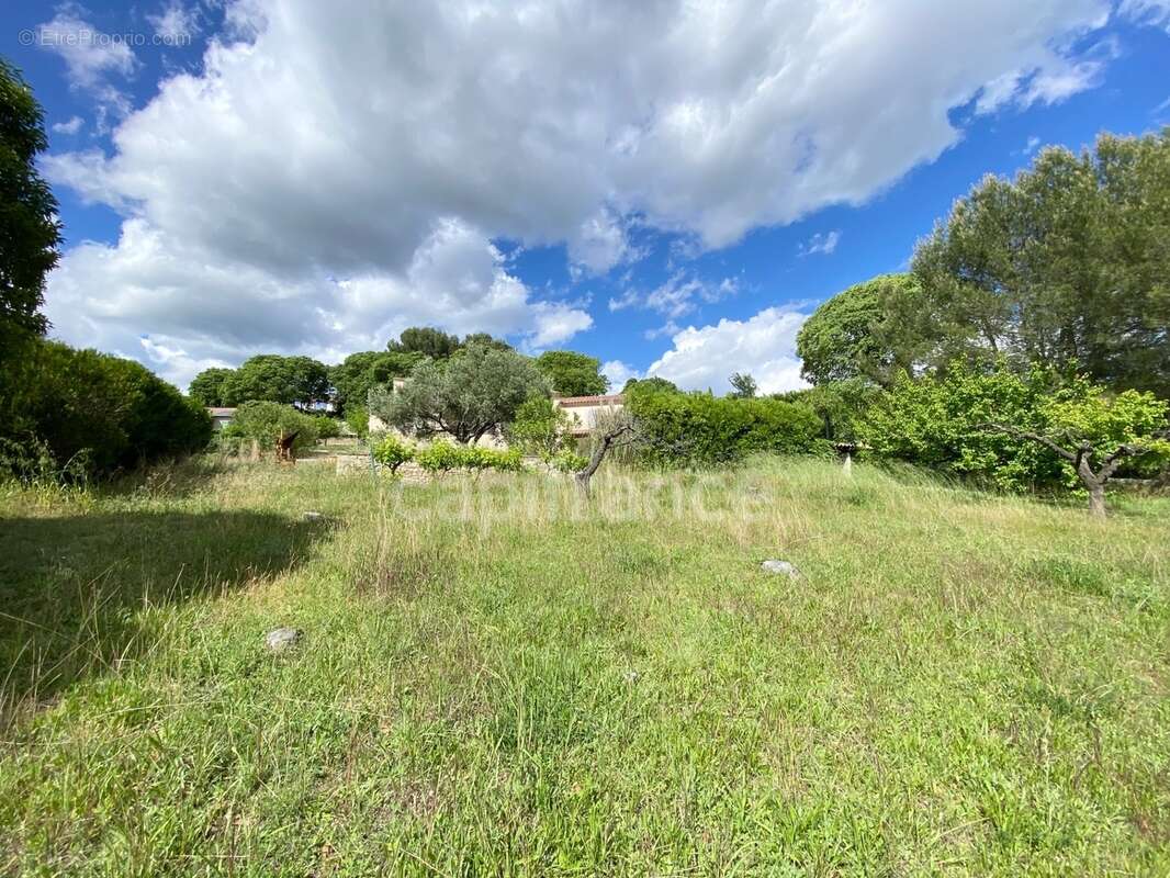 A 5 mn d'UZES (30) Maison de plain-pied 125 m2 avec vue panoramique - photo 4