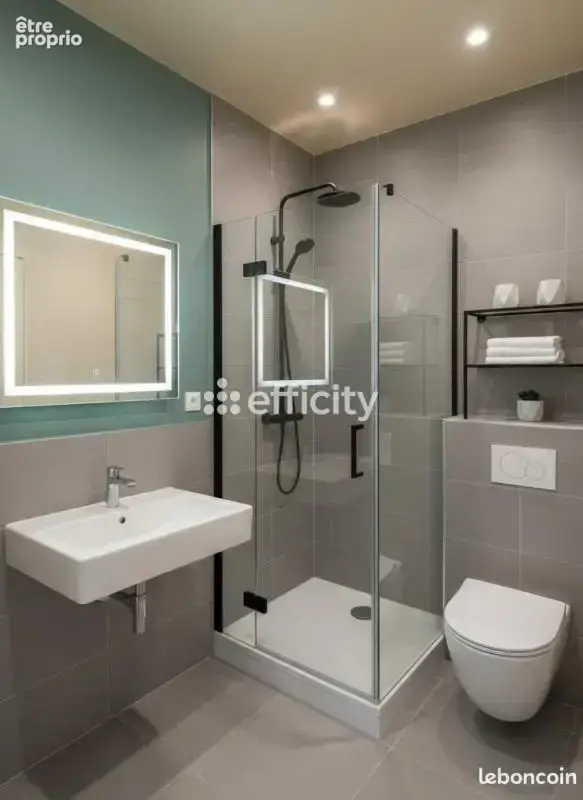 Appartement ancien - photo 13