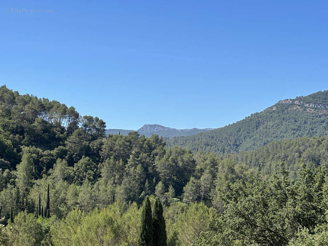 Terrain à BELGENTIER